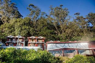 ooty