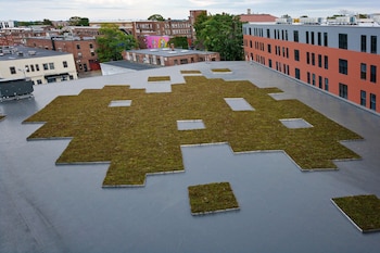 hampton inn salem boston