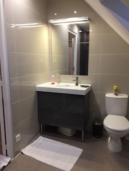 un figuier dans notre jardin