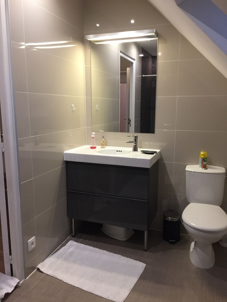 un figuier dans notre jardin