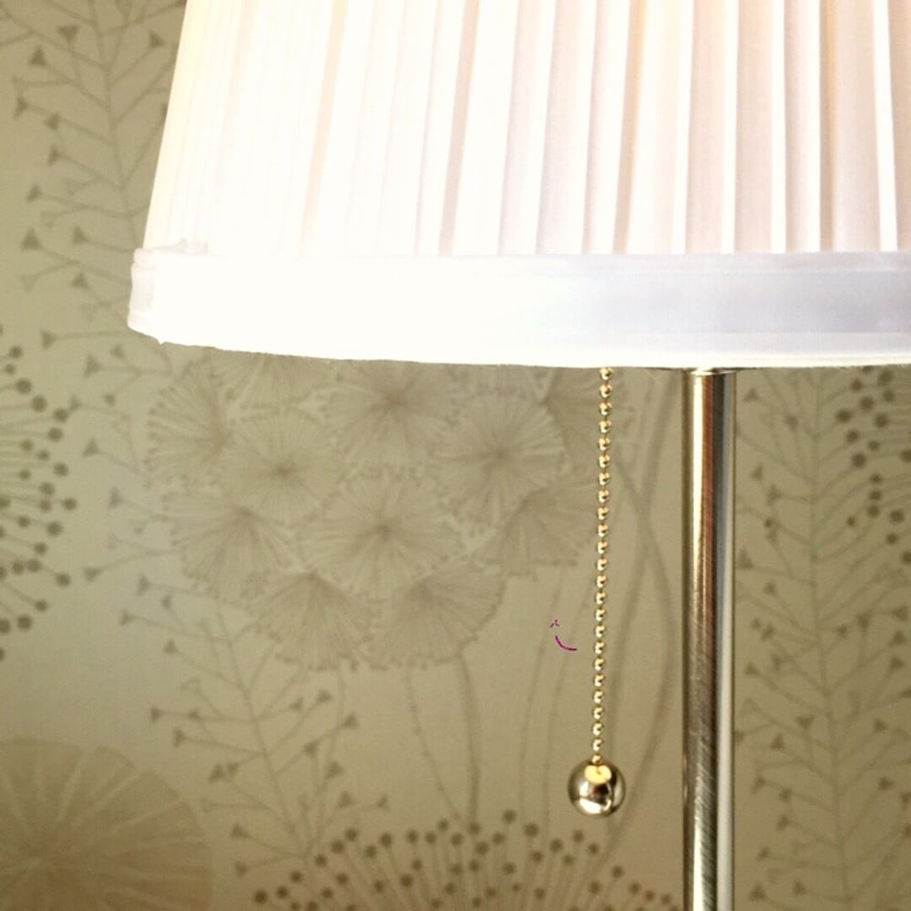 un figuier dans notre jardin