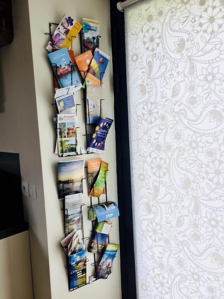 un figuier dans notre jardin