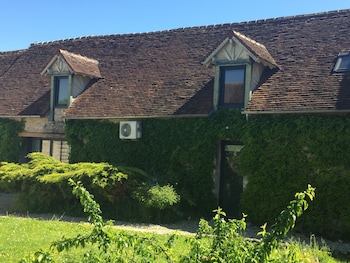 un figuier dans notre jardin