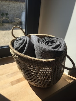 un figuier dans notre jardin