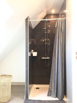 un figuier dans notre jardin