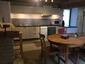 un figuier dans notre jardin