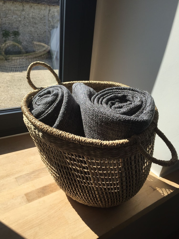 un figuier dans notre jardin