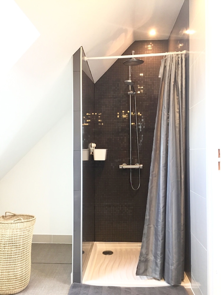 un figuier dans notre jardin