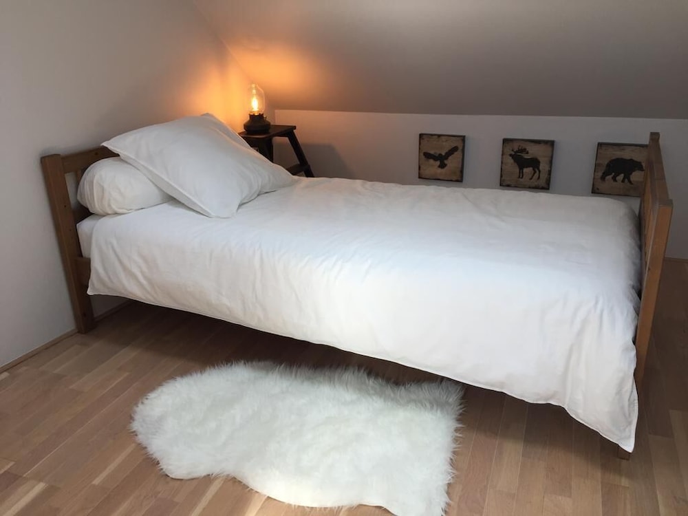 un figuier dans notre jardin