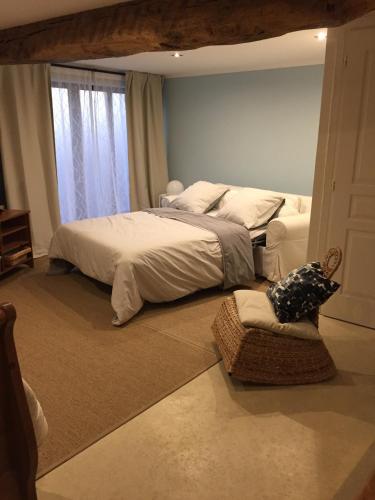 un figuier dans notre jardin