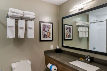 best western plus dauphin