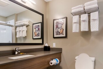 best western plus dauphin
