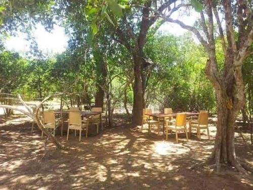 yala safari and relax camping