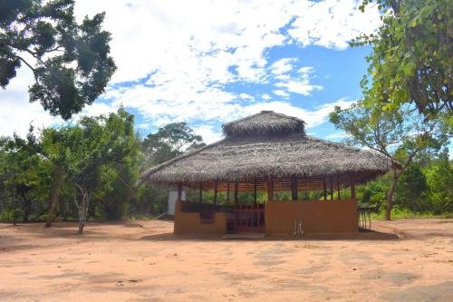 yala safari and relax camping