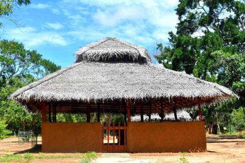 yala safari and relax camping