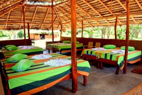 yala safari and relax camping