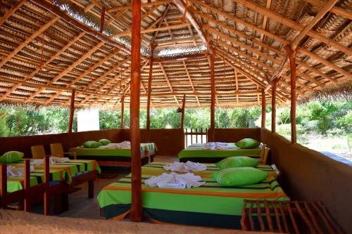 yala safari and relax camping