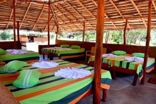 yala safari and relax camping