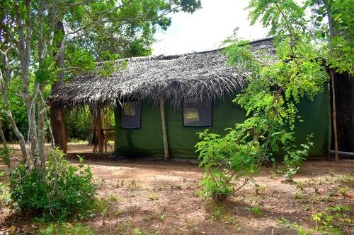 yala safari and relax camping