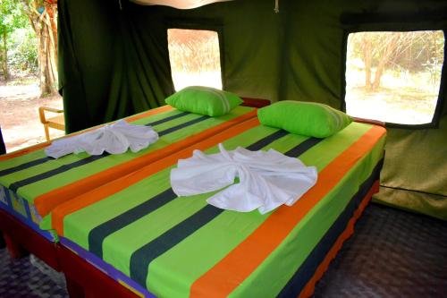 yala safari and relax camping