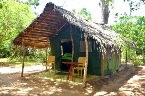 yala safari and relax camping