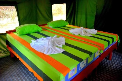 yala safari and relax camping