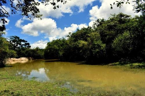 yala safari and relax camping