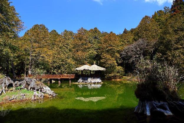 ali shan kaofeng hotel