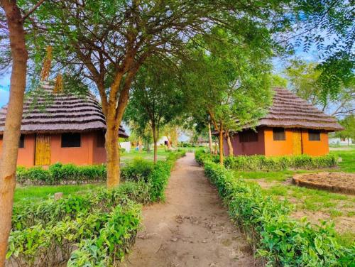 pakwach