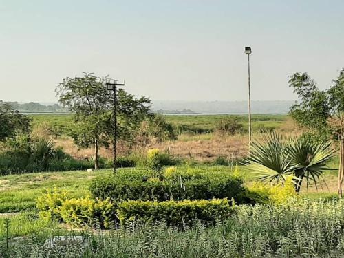 tangi safaris lodge
