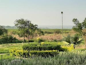 tangi safaris lodge