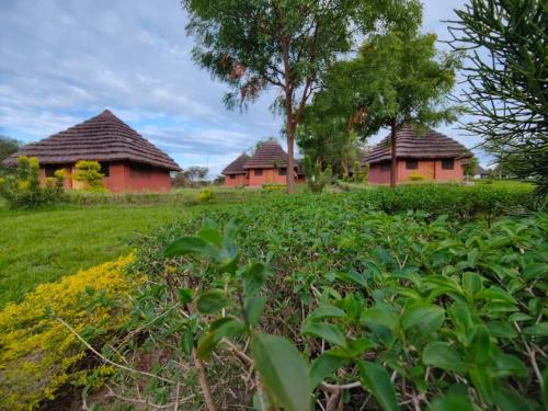 tangi safaris lodge