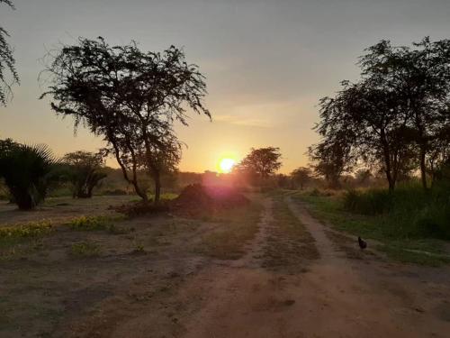 tangi safaris lodge
