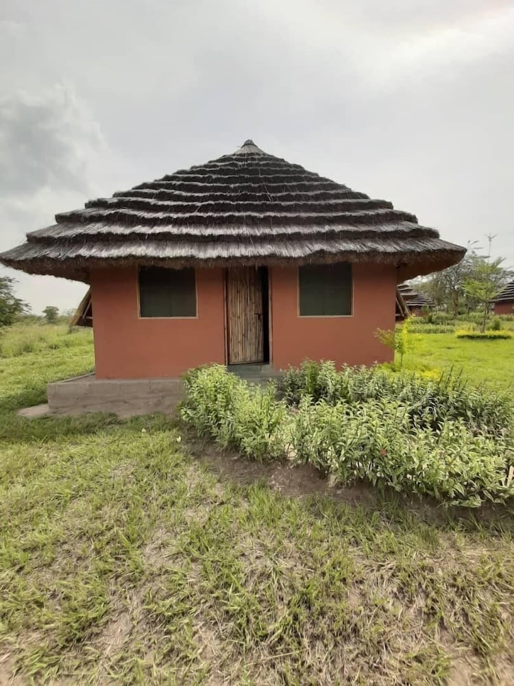 tangi safaris lodge