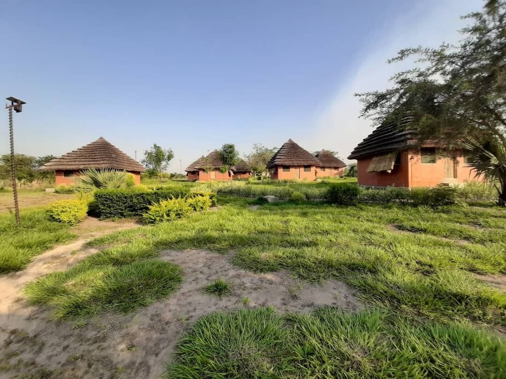 tangi safaris lodge