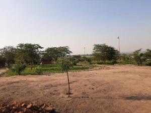 tangi safaris lodge