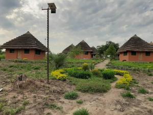 tangi safaris lodge