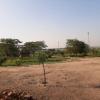 tangi safaris lodge