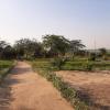 tangi safaris lodge