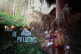 pu luong