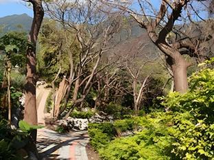 lehuo shoudo moli homestay