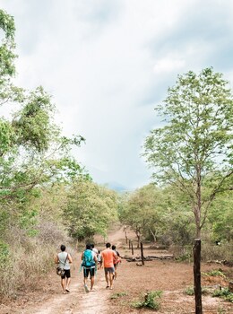 Tropicalfolks Campers Lodge,Marangahawela Kosgama Road Hildummulla Belihuloya 70140,0 star
