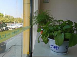 7days inn luan wanda plaza branch