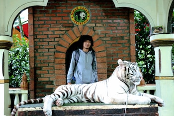 homestay sembiring puncak