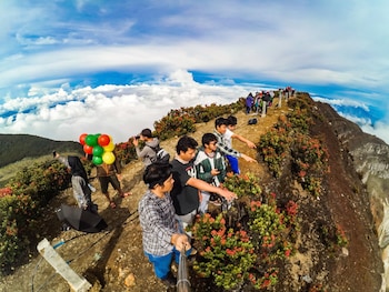 homestay sembiring puncak