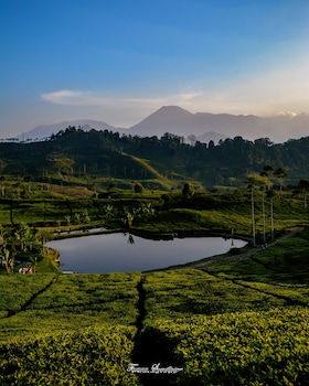 homestay sembiring puncak