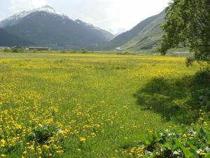 andermatt