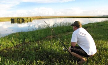 francolin creek