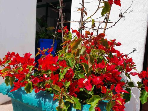 raaswater self catering