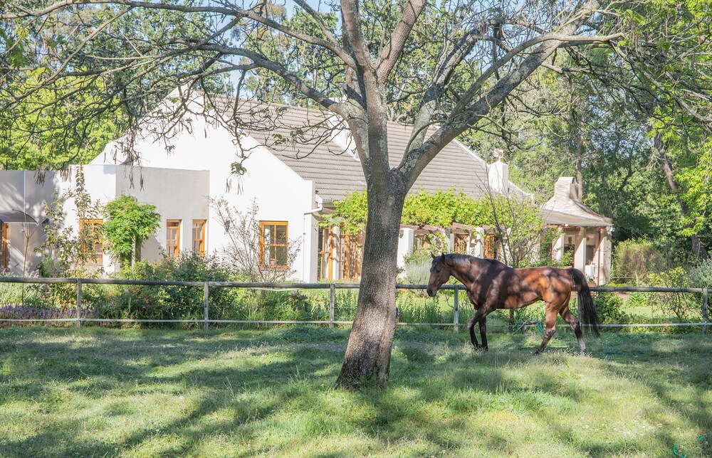 languedoc farm